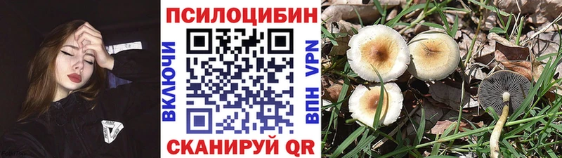 как найти наркотики  Маркс  Псилоцибиновые грибы ЛСД 